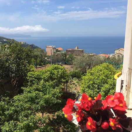 Relais Il Pennino Bed & Breakfast Massa Lubrense Bilik gambar