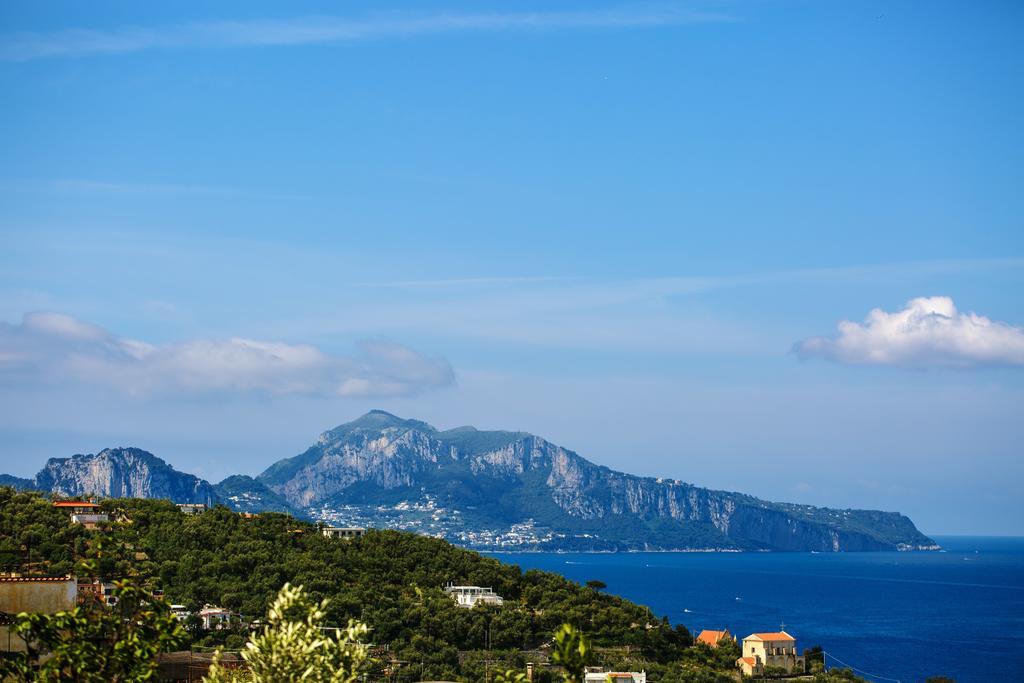 Relais Il Pennino Bed & Breakfast Massa Lubrense Luaran gambar